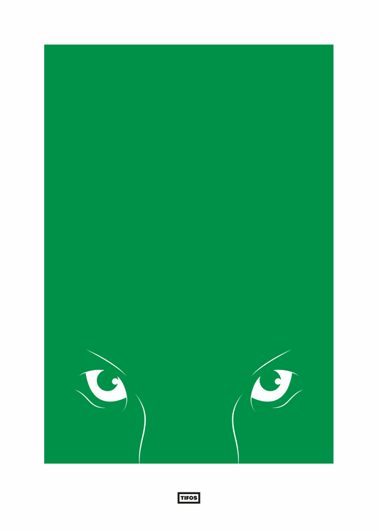 Affiche Saint-Etienne